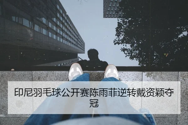 印尼羽毛球公开赛陈雨菲逆转戴资颖夺冠