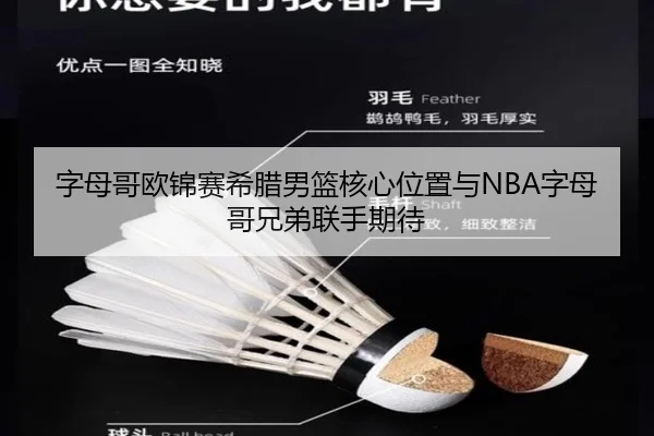 zi-mu-ge-ou-jin-sai-xi-la-nan-lan-he-xin-wei-zhi-yu-zi-mu-ge-xiong-di-lian-shou-qi-dai-2-693.jpg